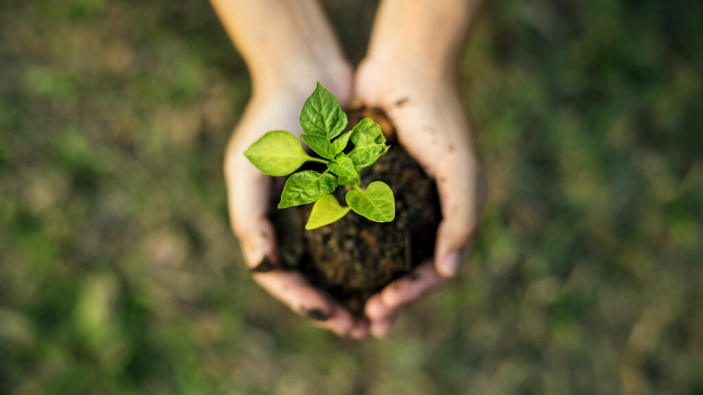 giornata mondiale dell'ambiente